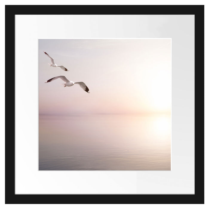 Möwen am Meer bei Sonnenaufgang Passepartout Quadratisch 40x40