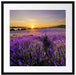 Lavendelfeld in Frankreich Passepartout Quadratisch 55x55