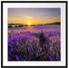 Lavendelfeld in Frankreich Passepartout Quadratisch 70x70