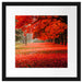 Rot gefärbter Park im Herbst Passepartout Quadratisch 40x40