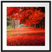Rot gefärbter Park im Herbst Passepartout Quadratisch 55x55