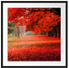 Rot gefärbter Park im Herbst Passepartout Quadratisch 70x70