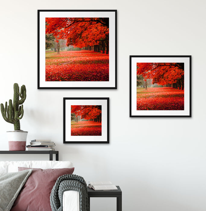 Rot gefärbter Park im Herbst Quadratisch Passepartout Wohnzimmer