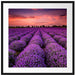 Wunderschöne Lavendel Provence Passepartout Quadratisch 70x70