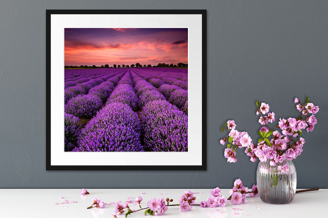 Wunderschöne Lavendel Provence Quadratisch Passepartout Dekovorschlag