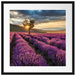 Lavendel Provence mit Baum Passepartout Quadratisch 55x55