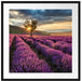 Lavendel Provence mit Baum Passepartout Quadratisch 70x70