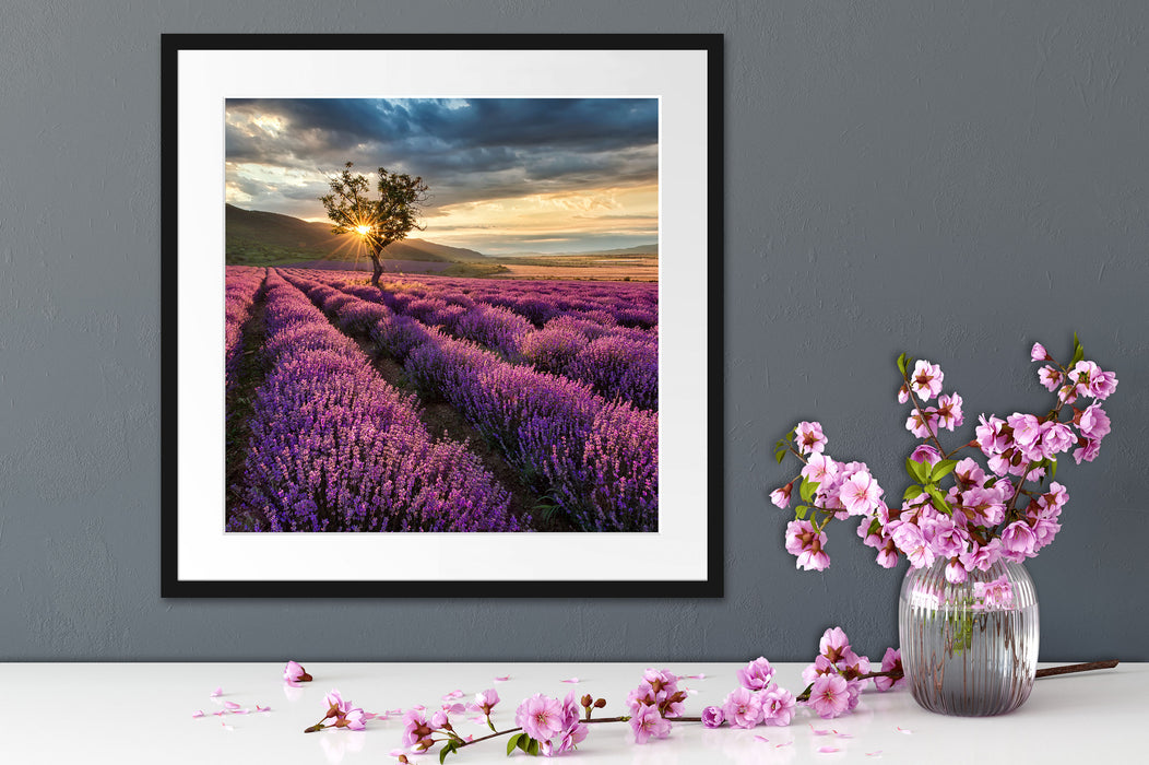 Lavendel Provence mit Baum Quadratisch Passepartout Dekovorschlag