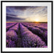 Traumhafte Lavendel Provence Passepartout Quadratisch 70x70