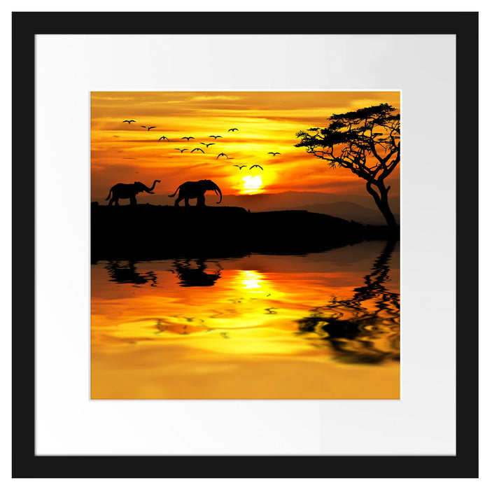 Elefanten in Afrikanischer Steppe Passepartout Quadratisch 40x40