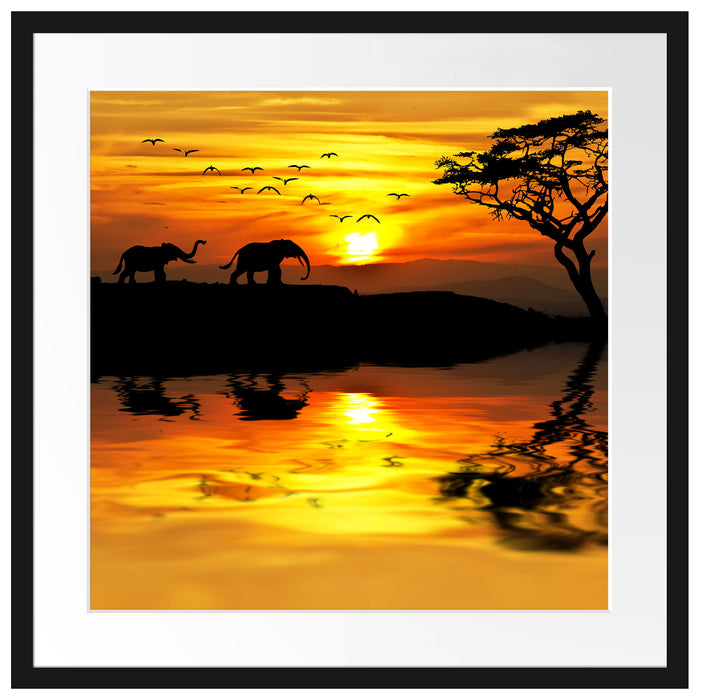 Elefanten in Afrikanischer Steppe Passepartout Quadratisch 55x55