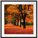 Baumallee im Herbst Passepartout Quadratisch 70x70