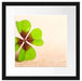 Glücks Kleeblatt mit 4 Blättern Passepartout Quadratisch 40x40