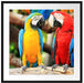 Zwei Papageien auf einem Ast Passepartout Quadratisch 70x70