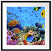 Fische über Korallenriff Passepartout Quadratisch 55x55