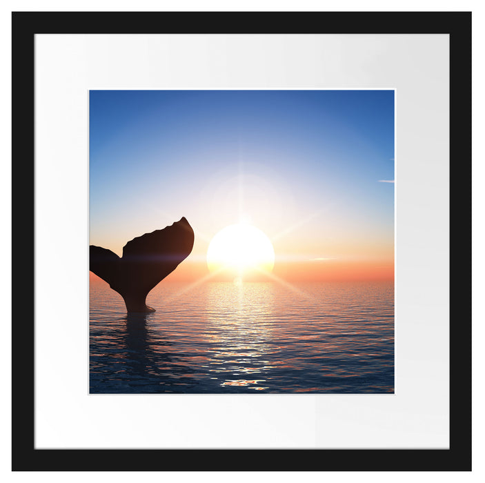 Walflosse im Sonnenuntergang Passepartout Quadratisch 40x40