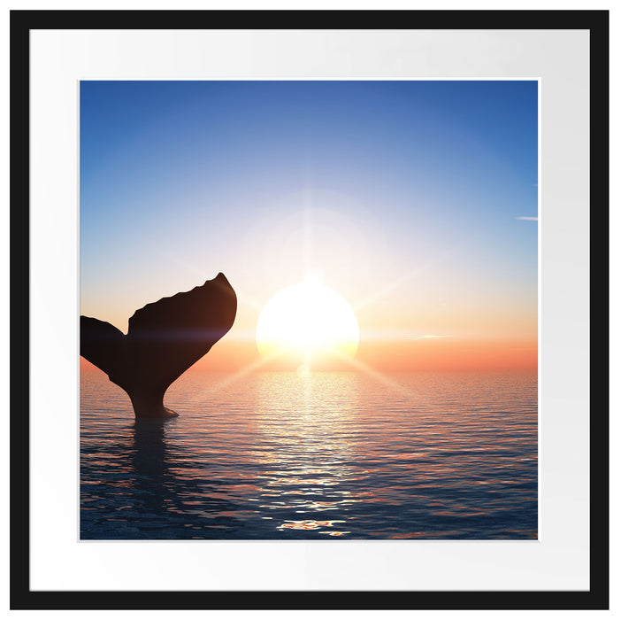 Walflosse im Sonnenuntergang Passepartout Quadratisch 55x55
