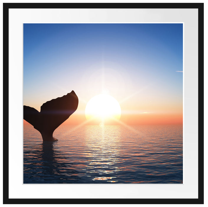 Walflosse im Sonnenuntergang Passepartout Quadratisch 70x70