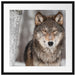 Wachsamer Wolf Passepartout Quadratisch 55x55