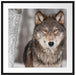 Wachsamer Wolf Passepartout Quadratisch 70x70