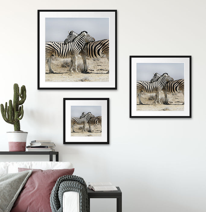 Schmusende Zebras Quadratisch Passepartout Wohnzimmer