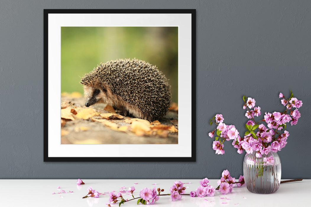 Igel im Laub Quadratisch Passepartout Dekovorschlag