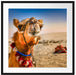 Lustiges Kamel in Wüste Passepartout Quadratisch 70x70