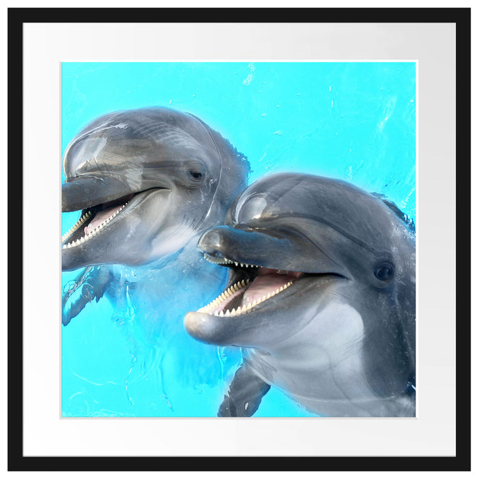 Delfinpaar Passepartout Quadratisch 55x55