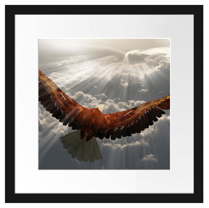 Adler über den Wolken Passepartout Quadratisch 40x40