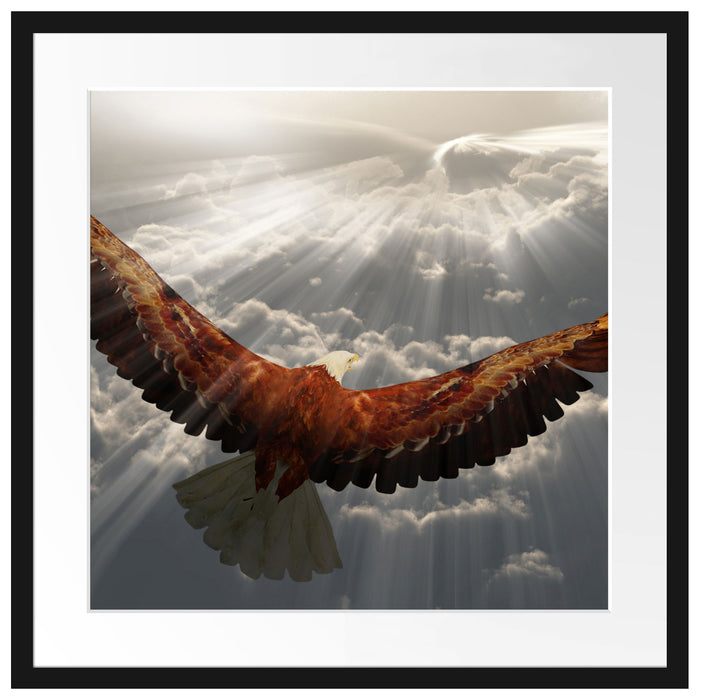 Adler über den Wolken Passepartout Quadratisch 55x55