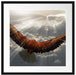Adler über den Wolken Passepartout Quadratisch 55x55