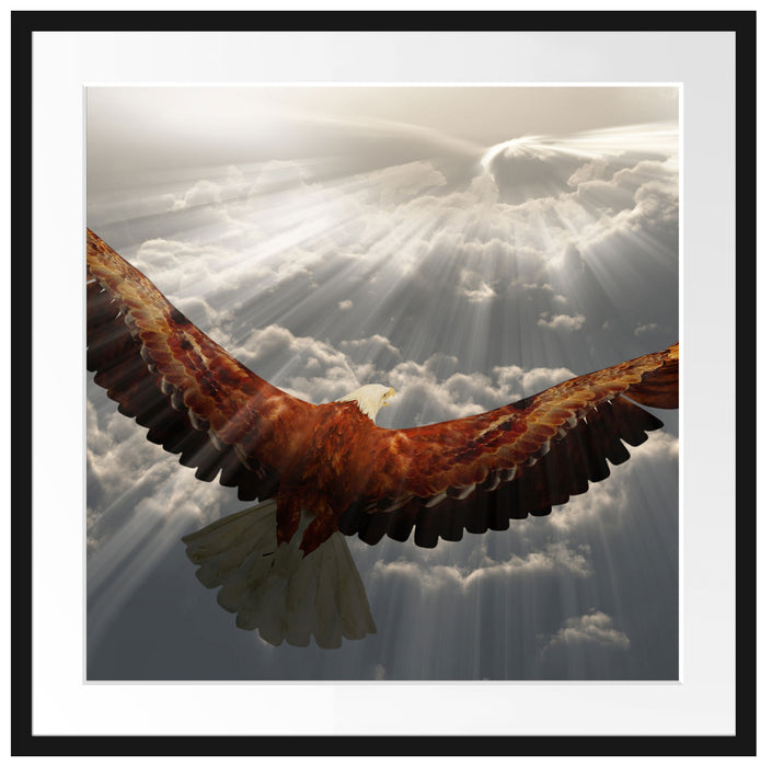 Adler über den Wolken Passepartout Quadratisch 70x70