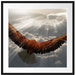 Adler über den Wolken Passepartout Quadratisch 70x70