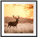 Hirsch im Sonnenuntergang Passepartout Quadratisch 70x70