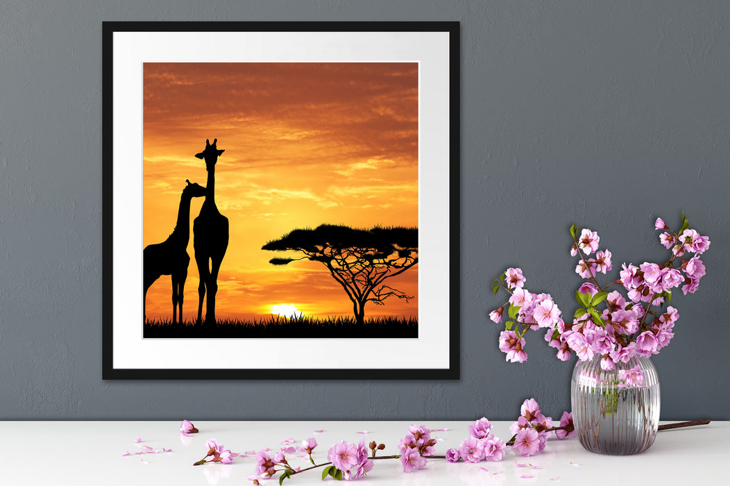 Giraffen im Sonnenuntergang Quadratisch Passepartout Dekovorschlag