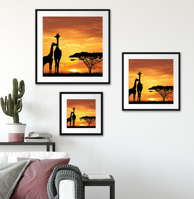 Giraffen im Sonnenuntergang Quadratisch Passepartout Wohnzimmer