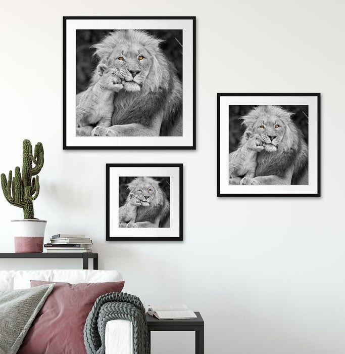 schöner Löwe mit Jungtier Quadratisch Passepartout Wohnzimmer