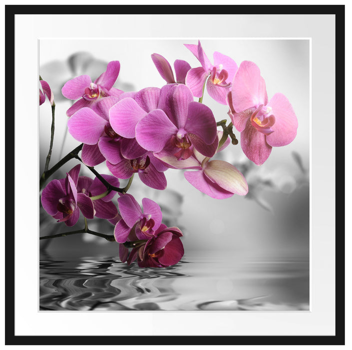 Orchideenblüten über Wasser Passepartout Quadratisch 70x70
