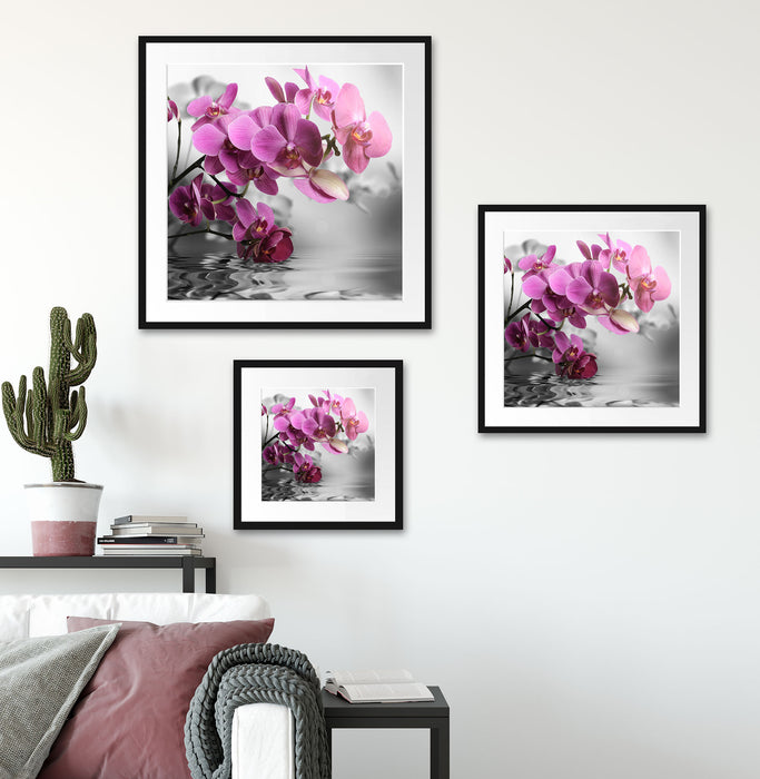 Orchideenblüten über Wasser Quadratisch Passepartout Wohnzimmer