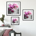 Orchideenblüten über Wasser Quadratisch Passepartout Wohnzimmer