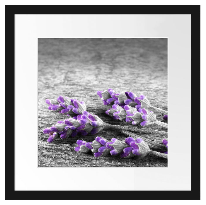 liegender Lavendel auf Stamm Passepartout Quadratisch 40x40