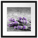liegender Lavendel auf Stamm Passepartout Quadratisch 40x40