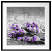 liegender Lavendel auf Stamm Passepartout Quadratisch 55x55