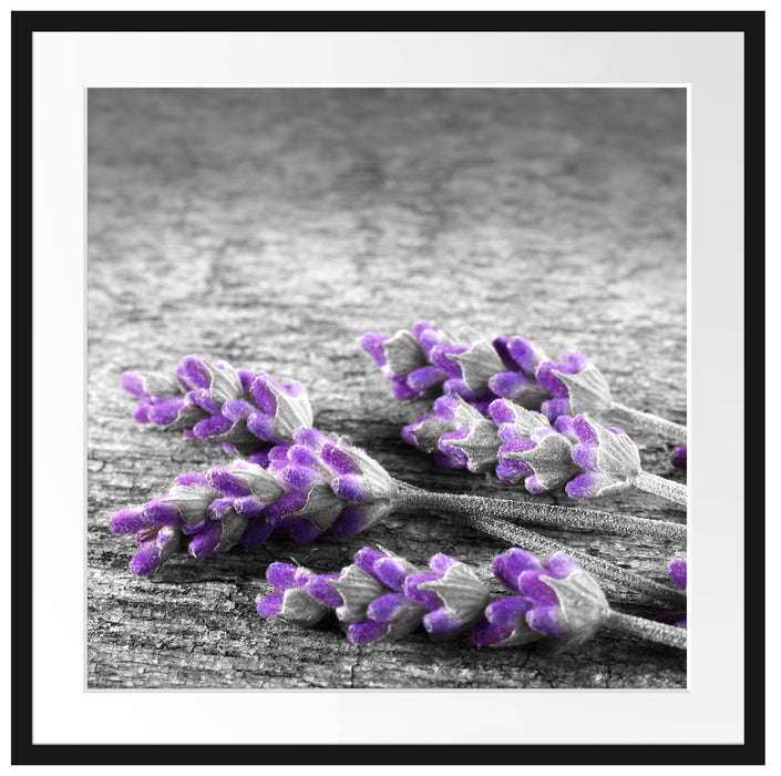 liegender Lavendel auf Stamm Passepartout Quadratisch 70x70