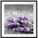 liegender Lavendel auf Stamm Passepartout Quadratisch 70x70