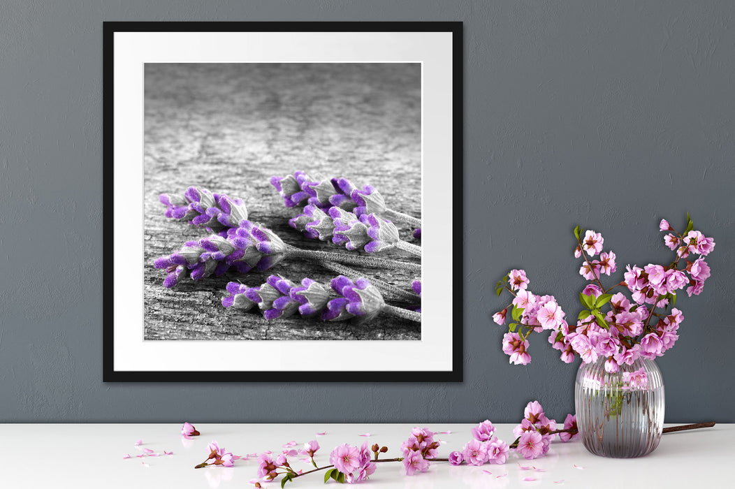 liegender Lavendel auf Stamm Quadratisch Passepartout Dekovorschlag