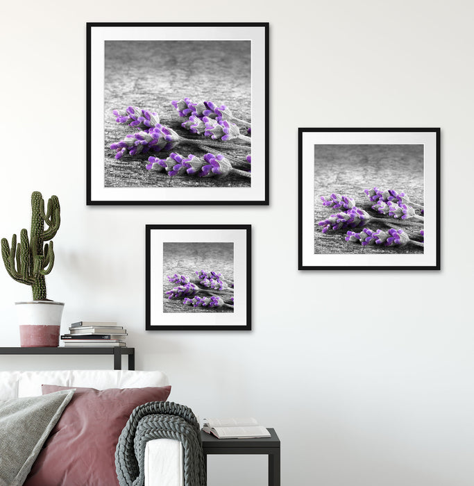 liegender Lavendel auf Stamm Quadratisch Passepartout Wohnzimmer