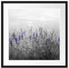 wunderschönes Lavendelfeld Passepartout Quadratisch 55x55