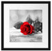 Rose auf Holztisch Passepartout Quadratisch 40x40