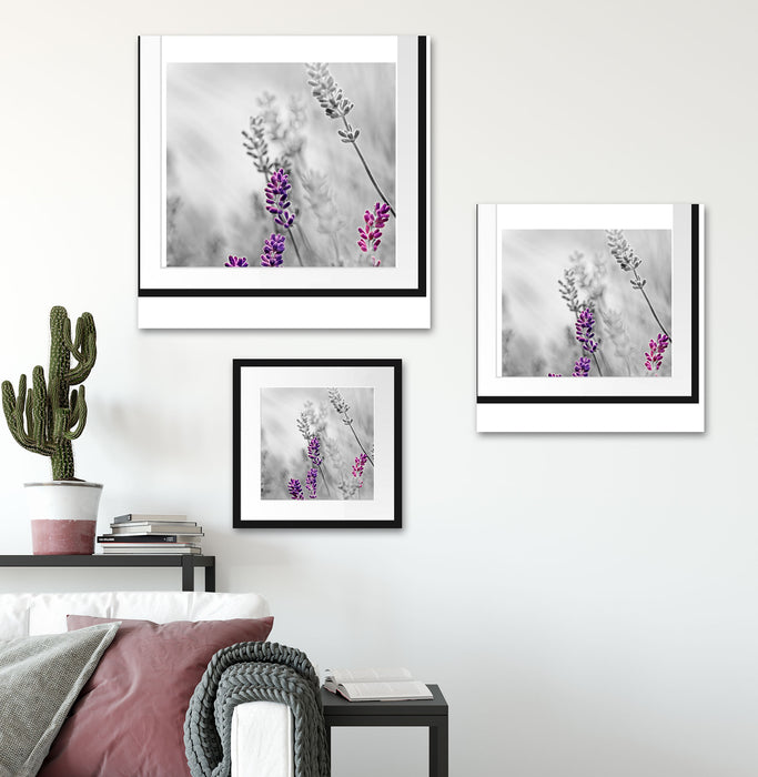 schöner Lavendel Quadratisch Passepartout Wohnzimmer
